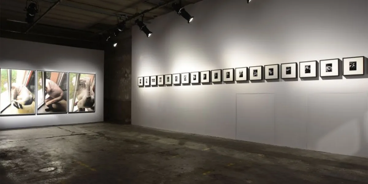 Guido Costa Projects
