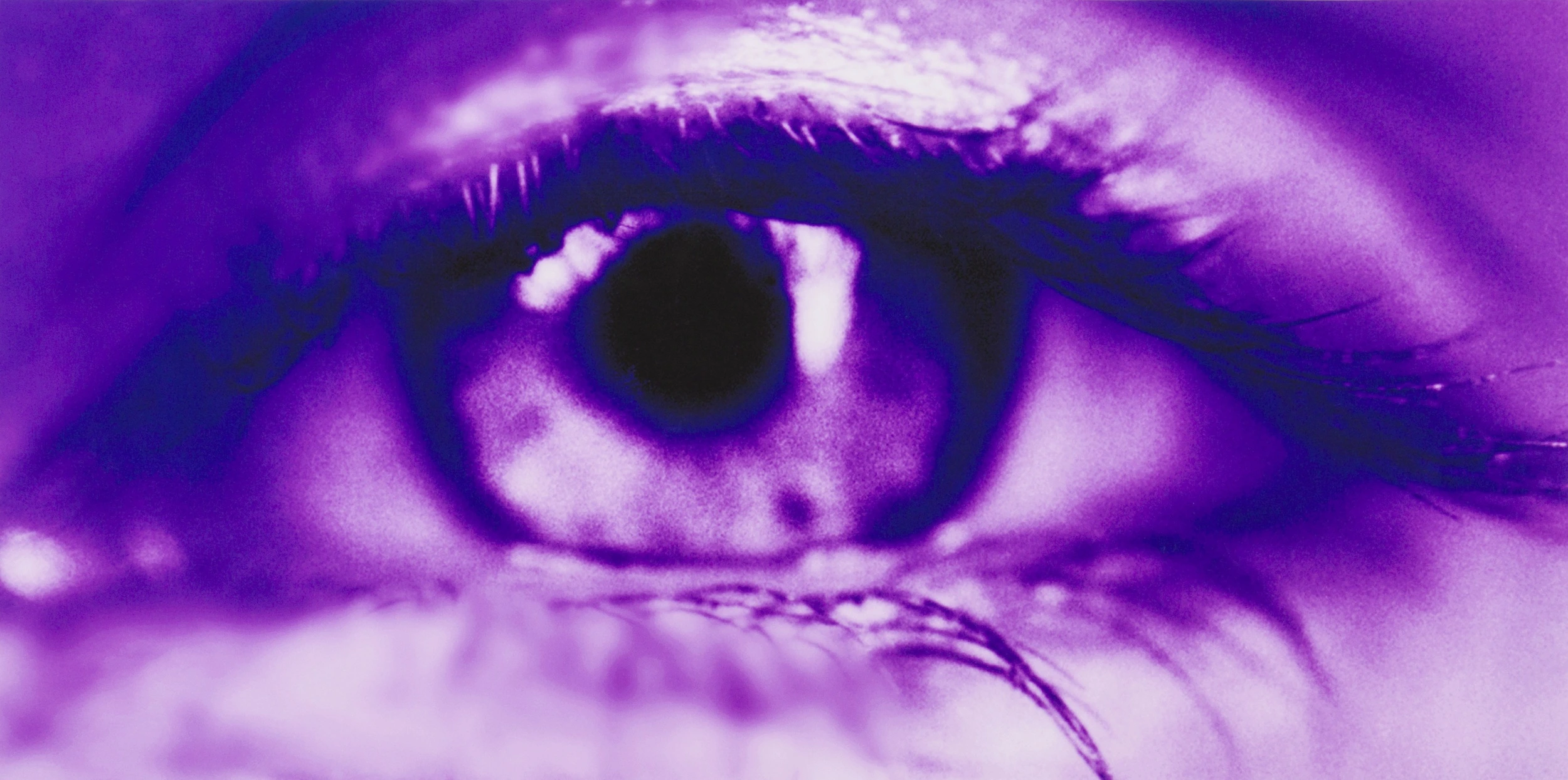 MAUVE PATRICIA
