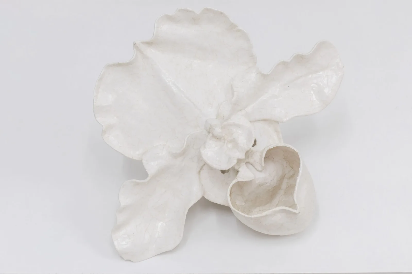 Anna Hulacova, series Let's Talk About Pollination, 2024, papier-mâché (paper and dispersion glue), metal stand, photo by Michal Czanderle, courtesy of Hunt Kastner