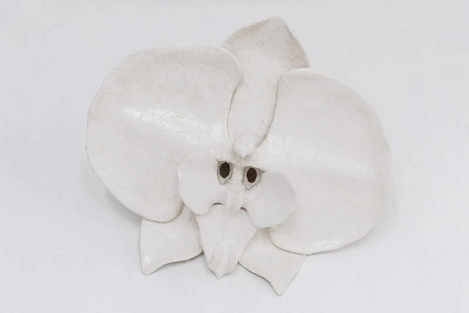 Anna Hulacova, series Let's Talk About Pollination, 2024, papier-mâché (paper and dispersion glue), metal stand, photo by Michal Czanderle, courtesy of Hunt Kastner
