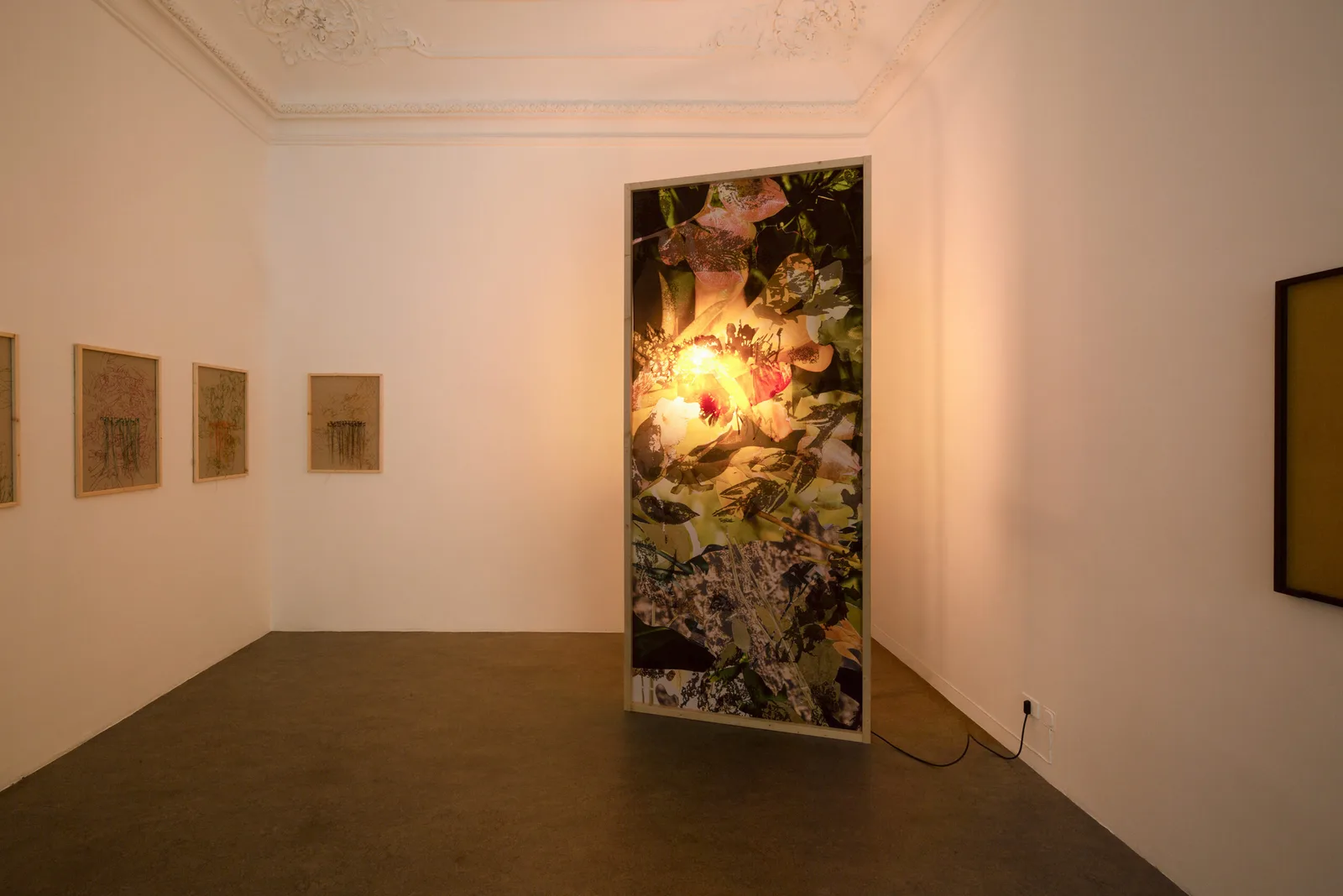 Reditus Naturalis SP di Lucia Veronesi, installazione con stampa su tessuto, serigrafia, lampade e legno, 2025 – Artissima 2025