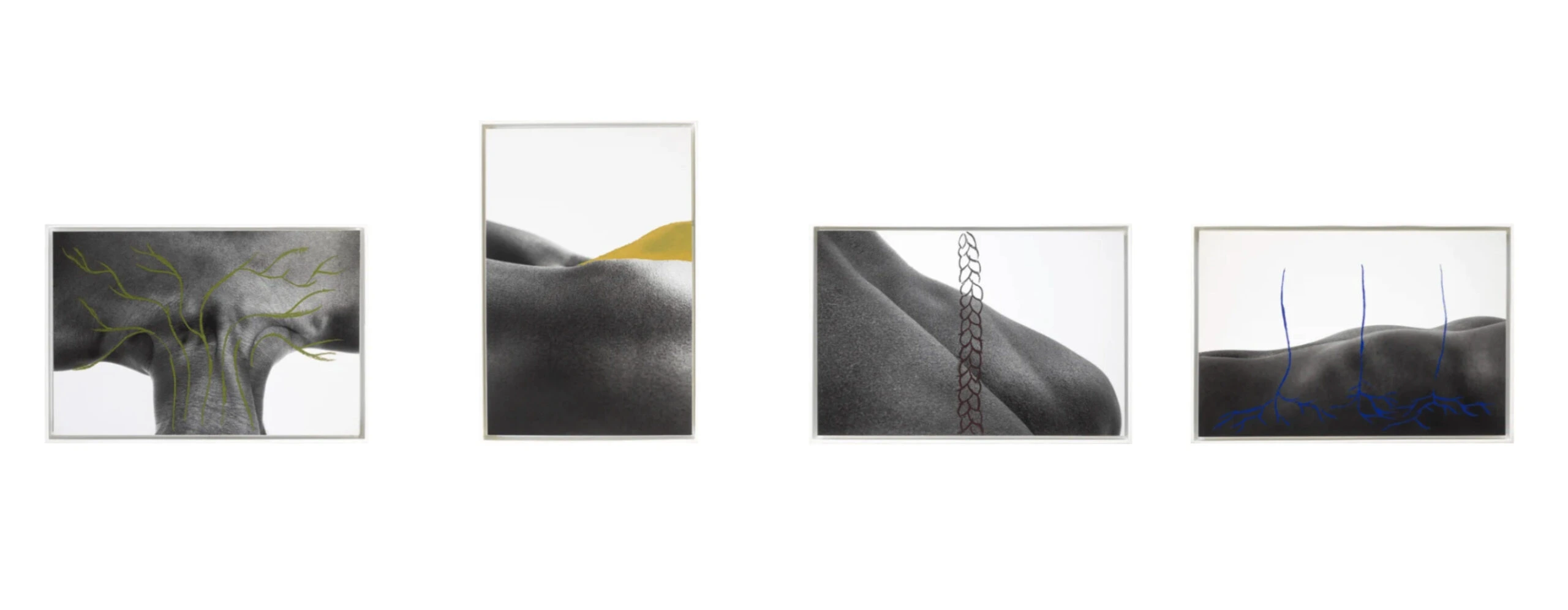 Paysage Corporel, serie Dïàspora (III, III.I, IV, XIV)