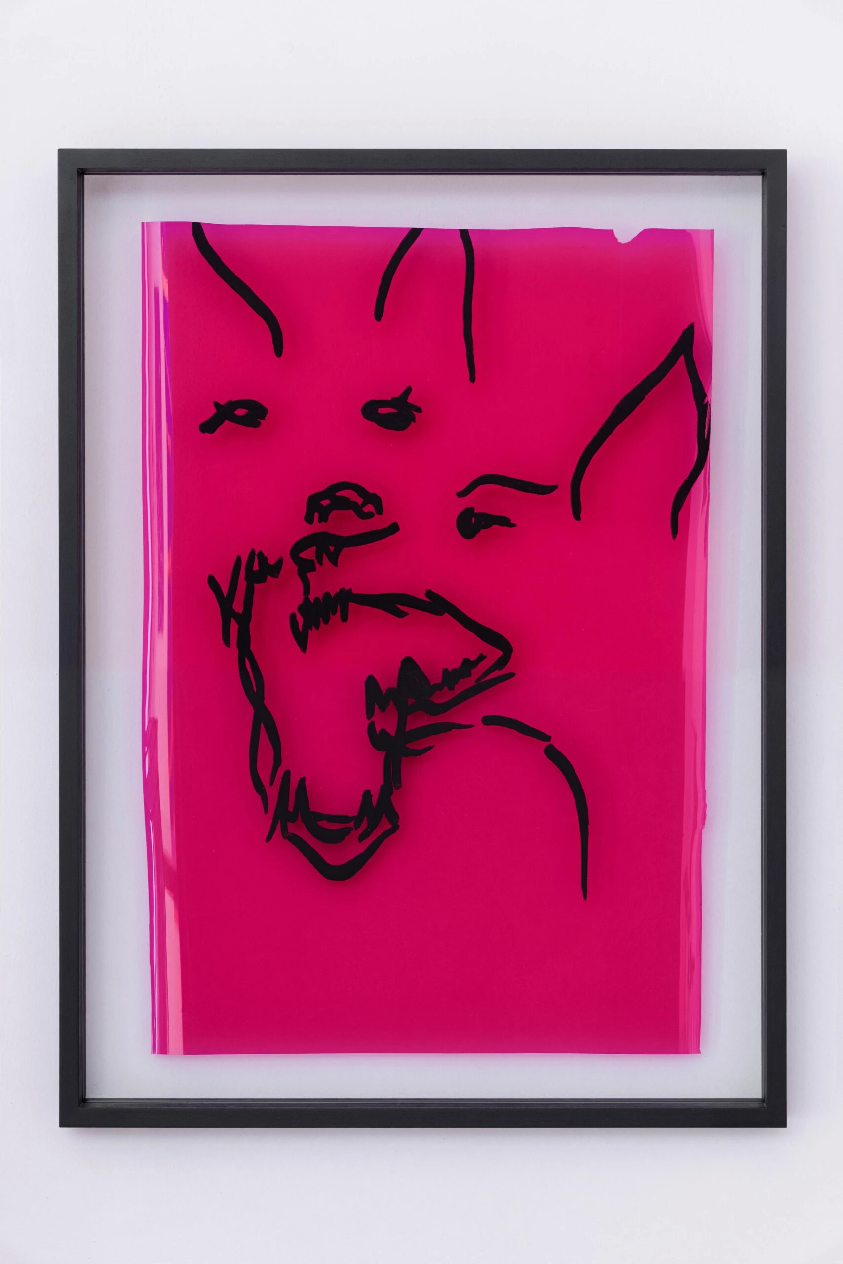 Untitled (Transparent Dog #3)
