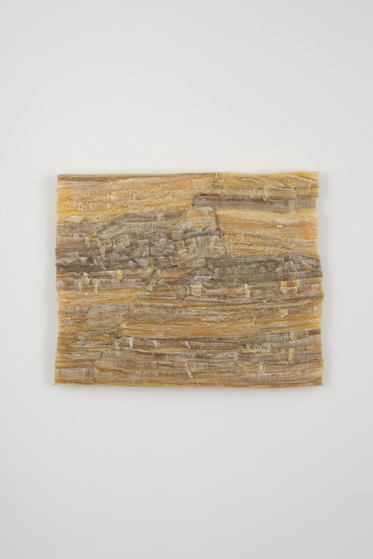 Roadcut 250811