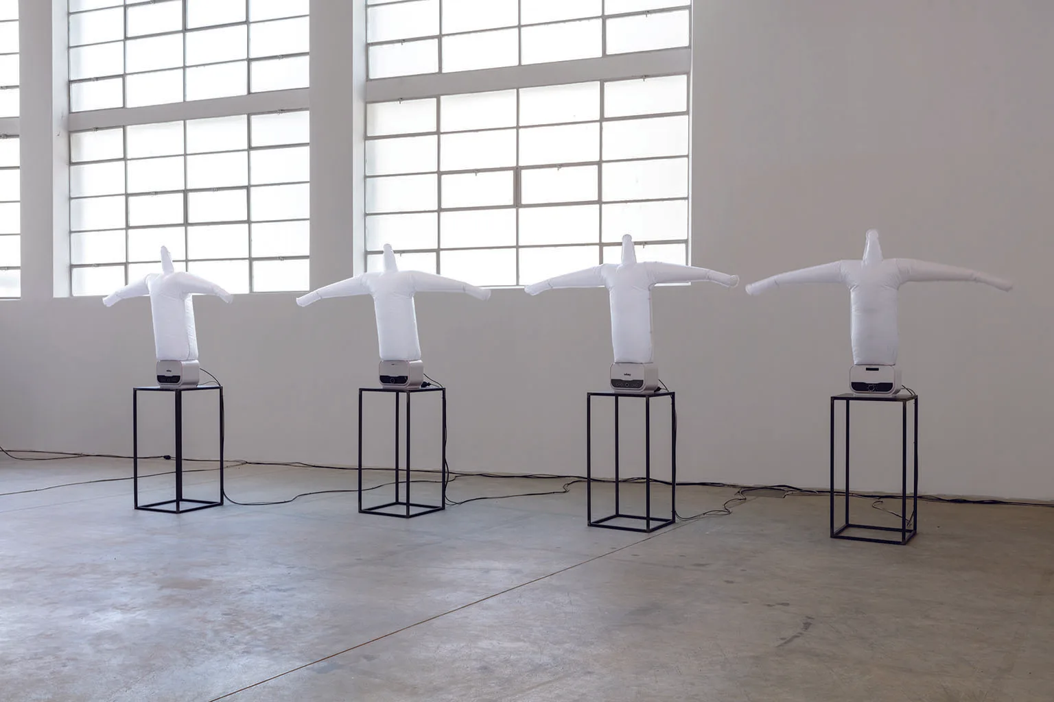 Mario Merz Prize, Torino