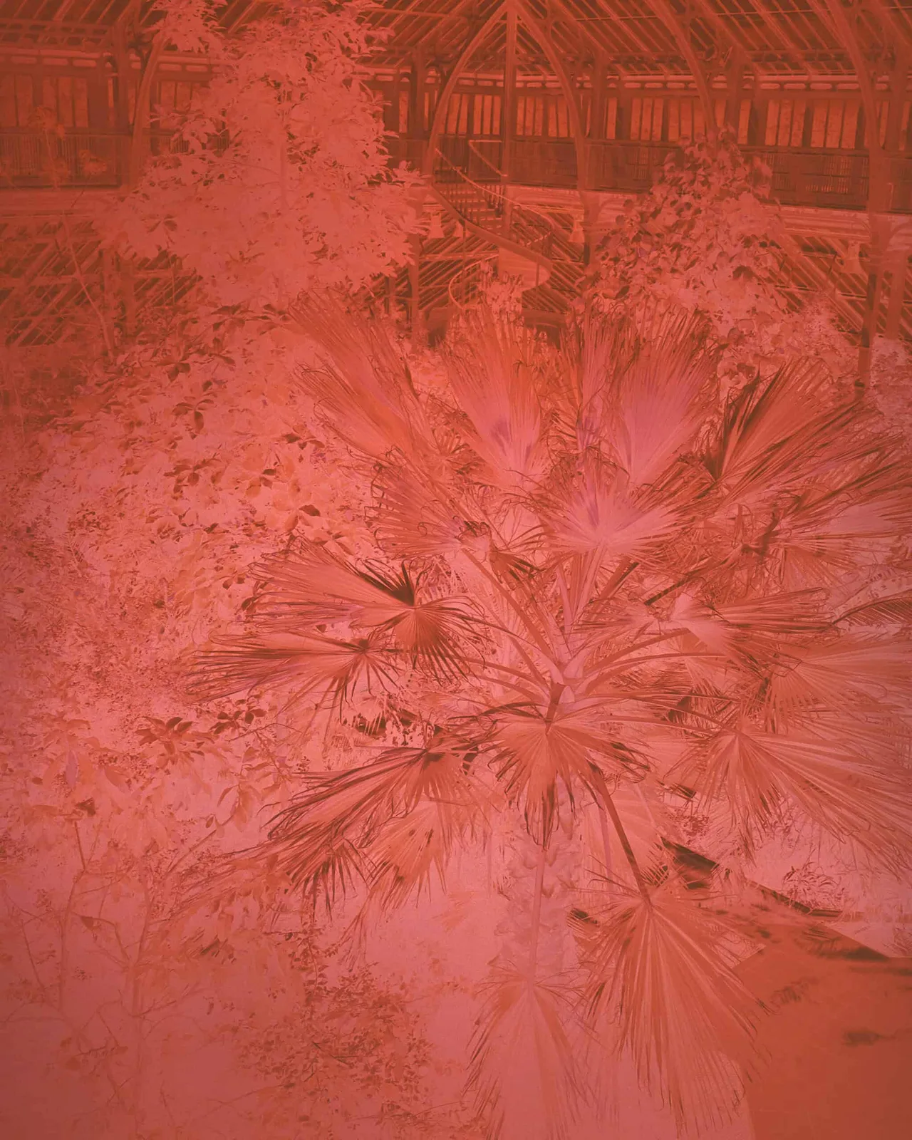 Thermscapes Series - 56C44