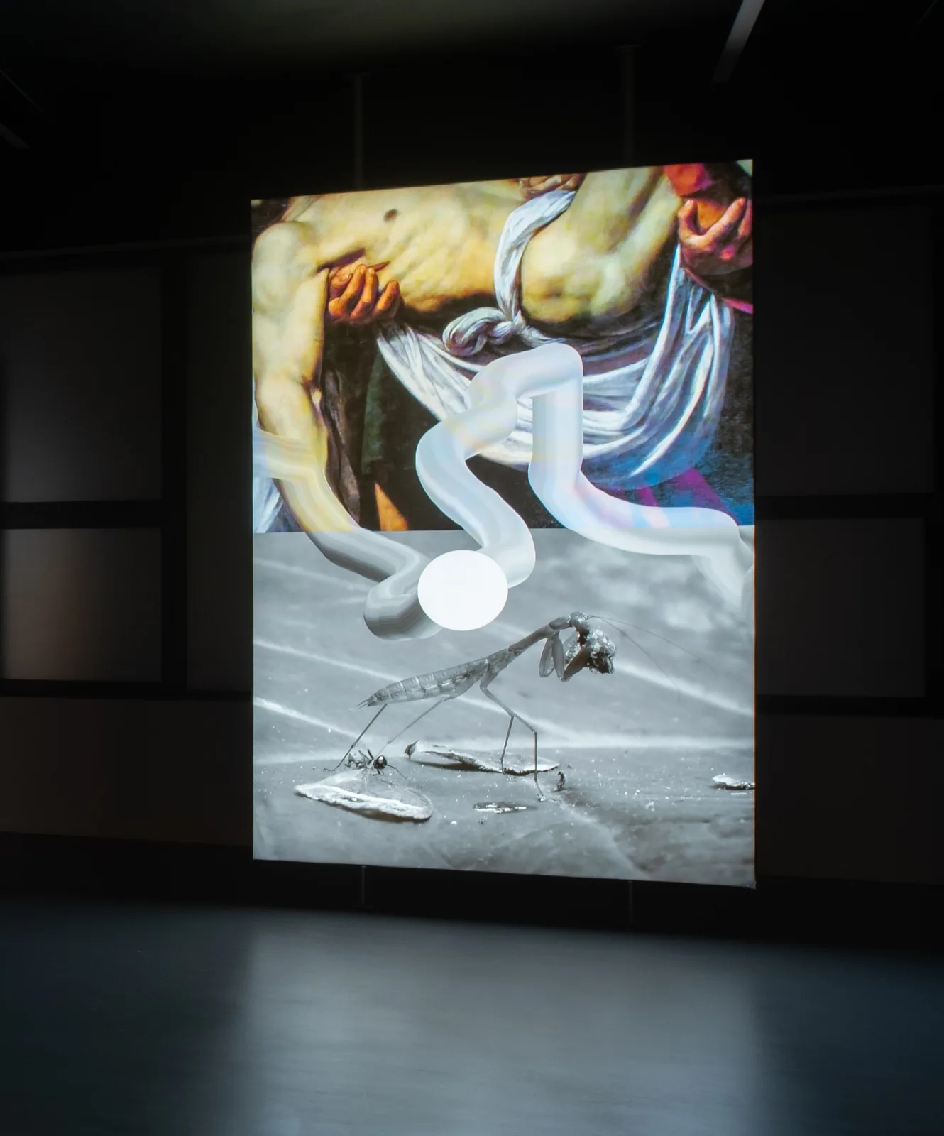 Jiri Thyn, from the series Butterfly of Hope, 2024, photograph with digital drawing/digital print, lightbox, courtesy of Hunt Kastner