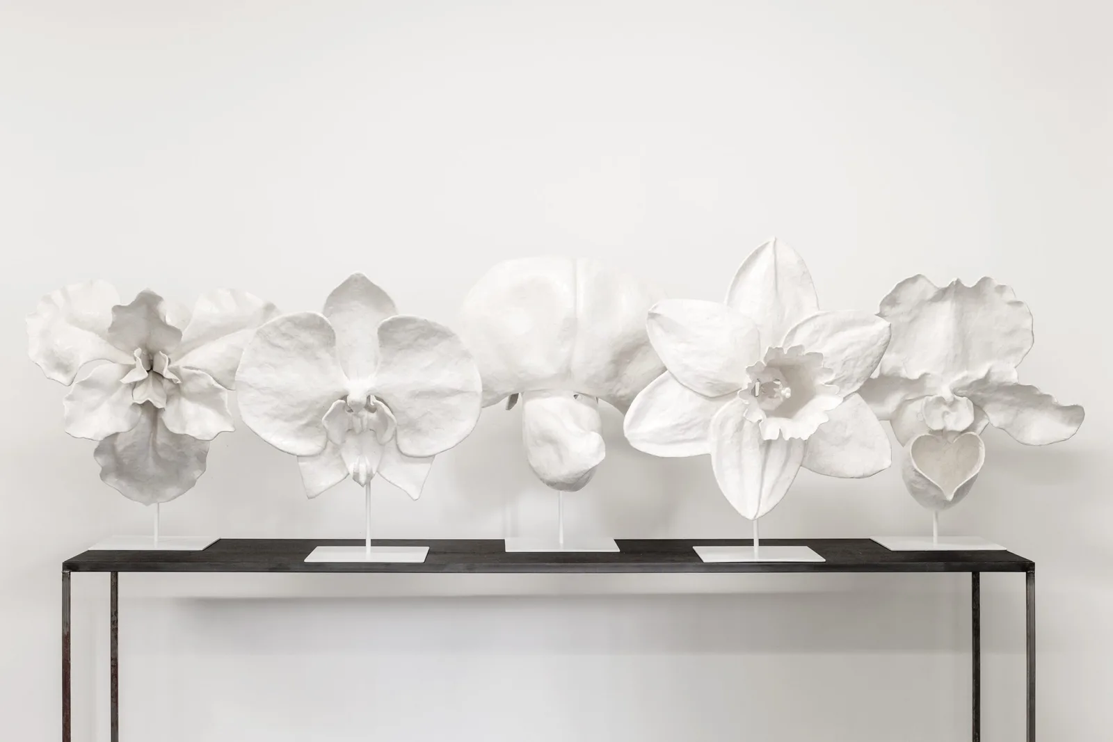 Anna Hulacova, series Let's Talk About Pollination, 2023-4, papier-mâché (paper and dispersion glue), 7 pieces, photo by Michal Czanderle, courtesy of Hunt Kastner