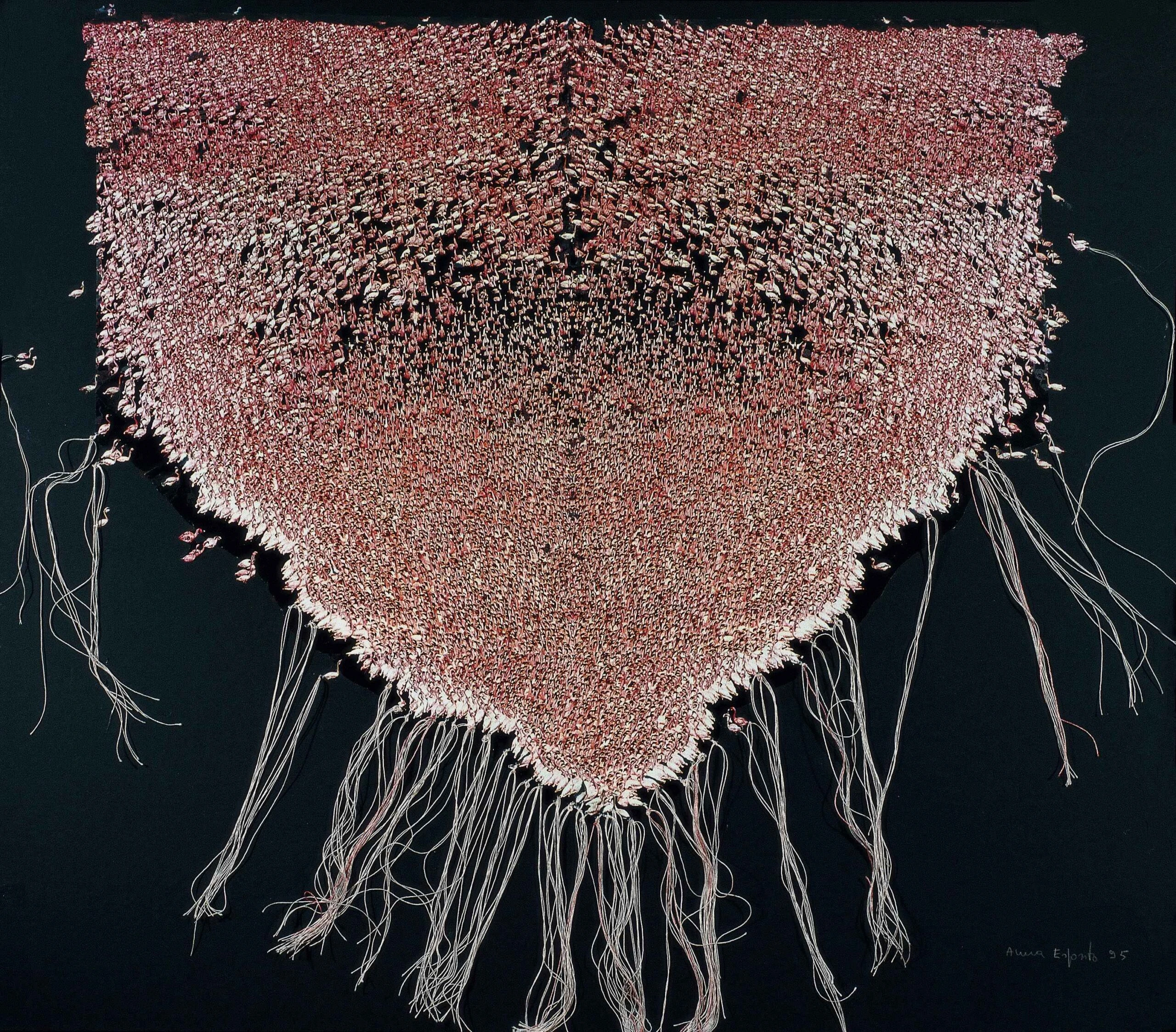 The Shawl of Venus