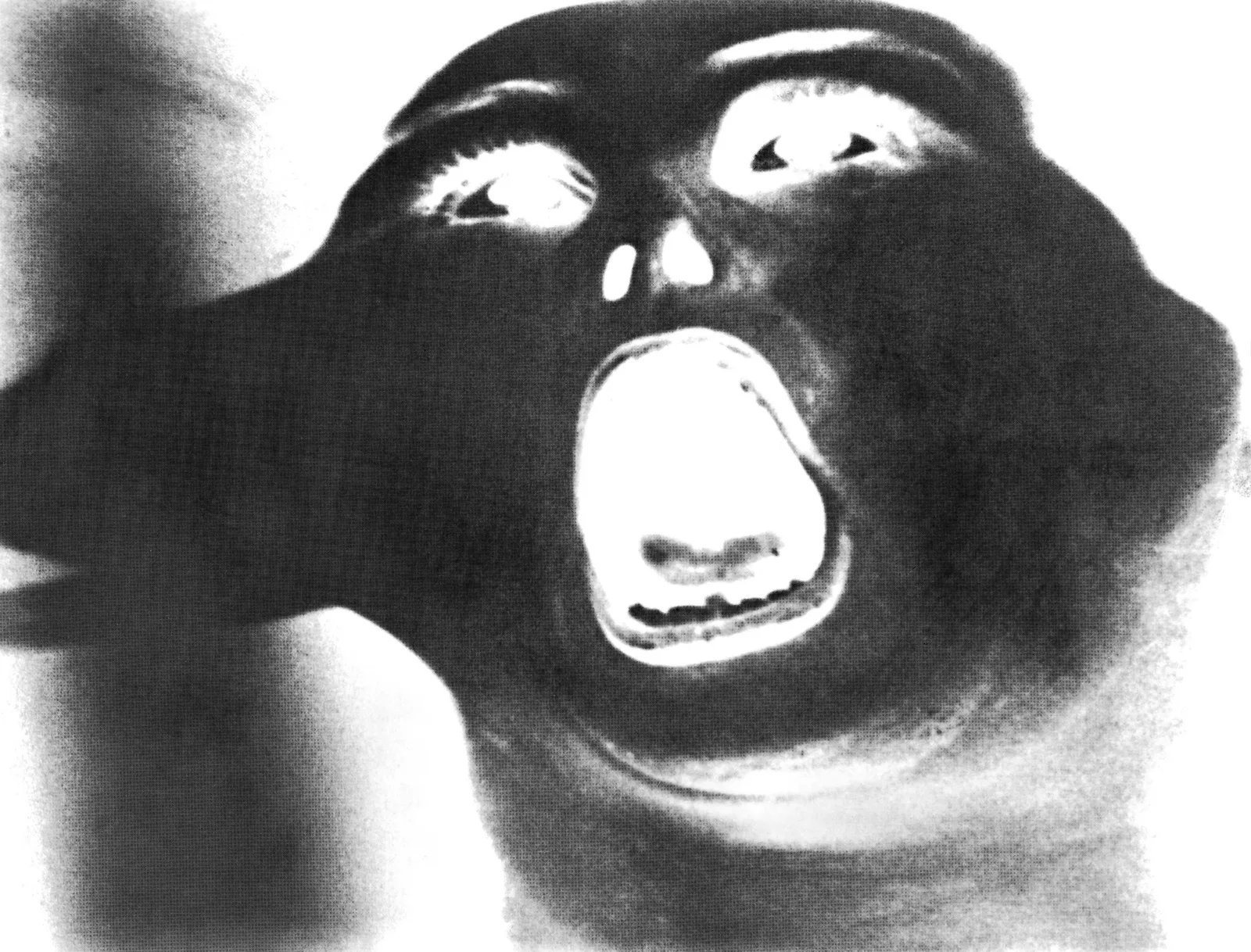 Transformations I (Detail, negative)