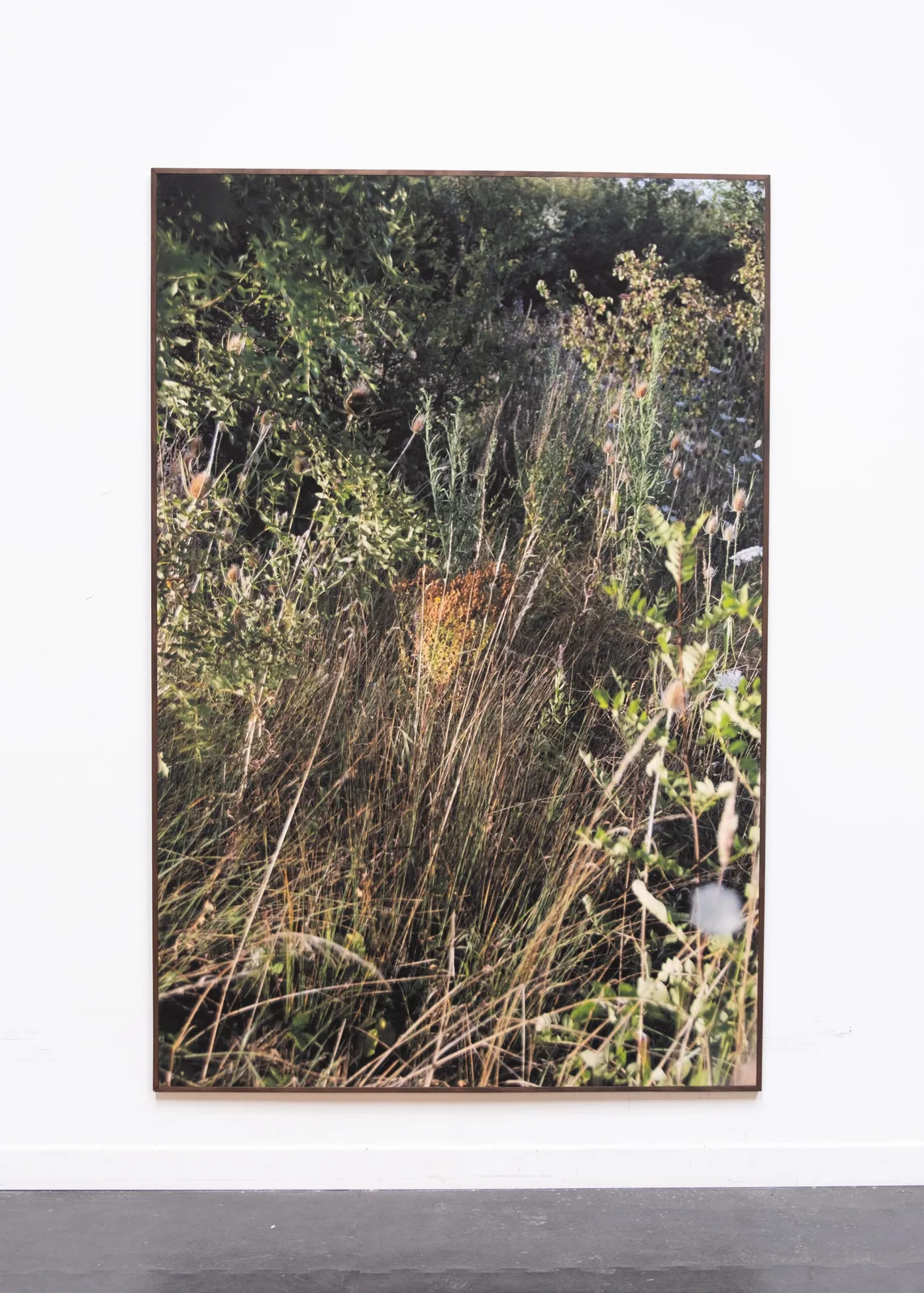 Paysage I