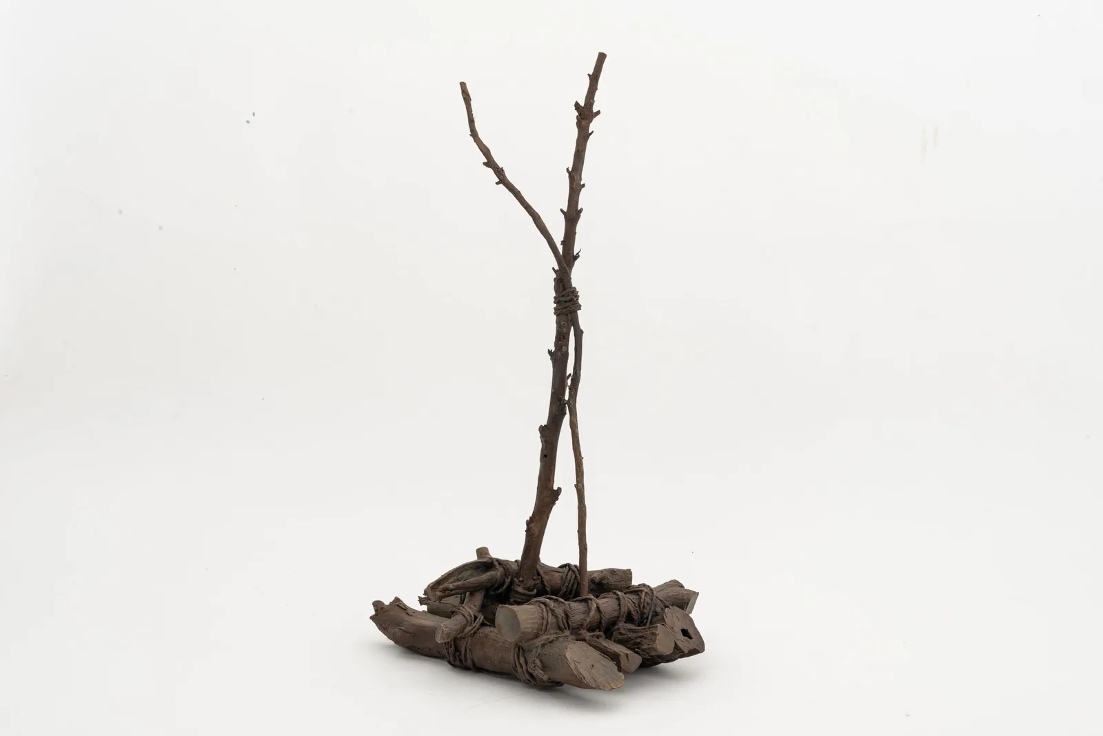 Sabina (legno di) [Savin (wood)]