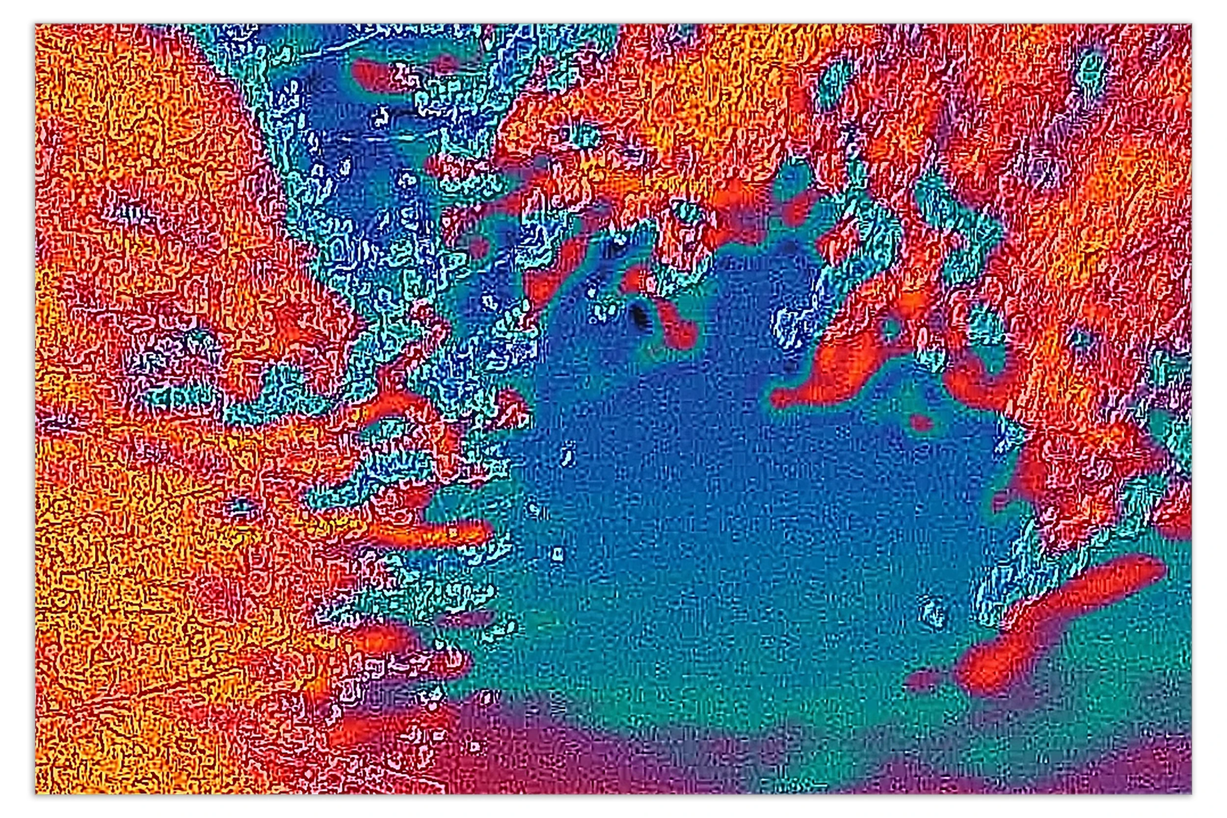 Opera *Cold as You Are (Cherry Blossom)* di Rebecca Moccia, fotografia termica stampata su carta cotone e montata su d-bond, 56 x 84 cm, presentata alla fiera Artissima 2025.