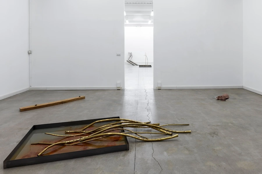 Boccanera Gallery