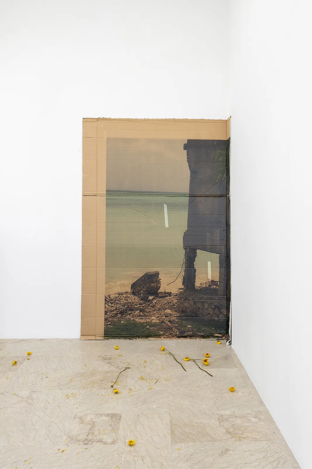 Affectives Documents_3 (sea)