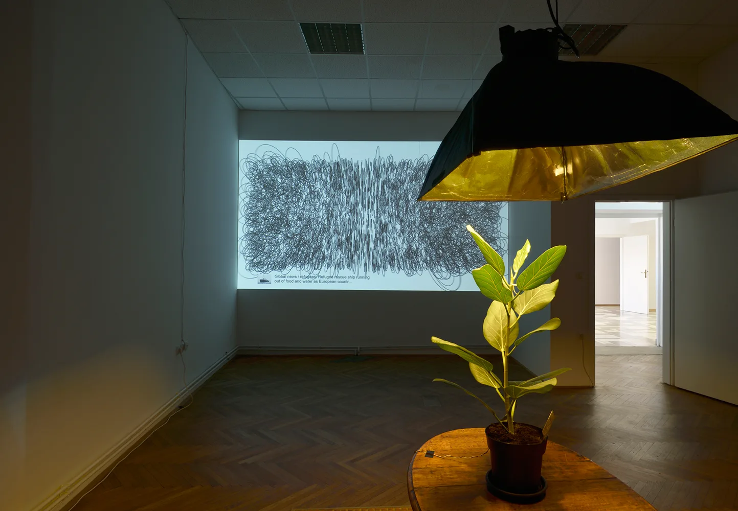 P74 Gallery