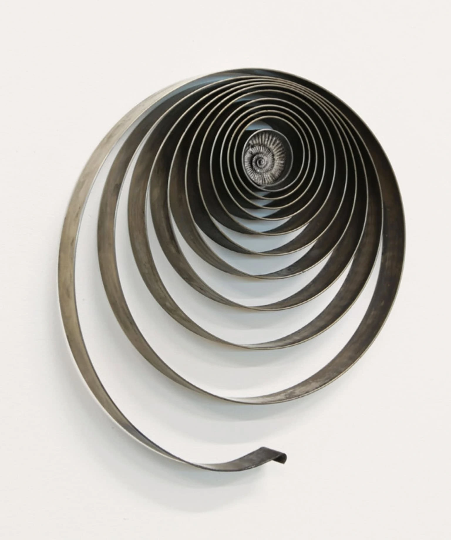 Continuum (working title)