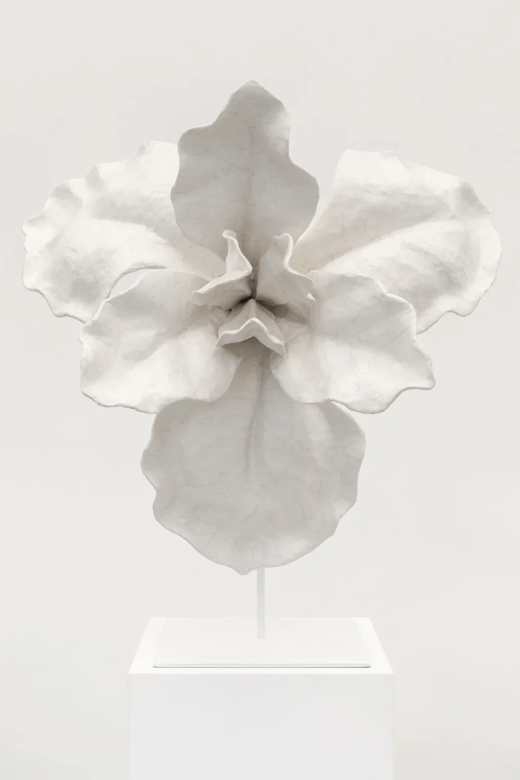 Anna Hulacova, series Let's Talk About Pollination, 2024, papier-mâché (paper and dispersion glue), metal stand, photo by Michal Czanderle, courtesy of Hunt Kastner