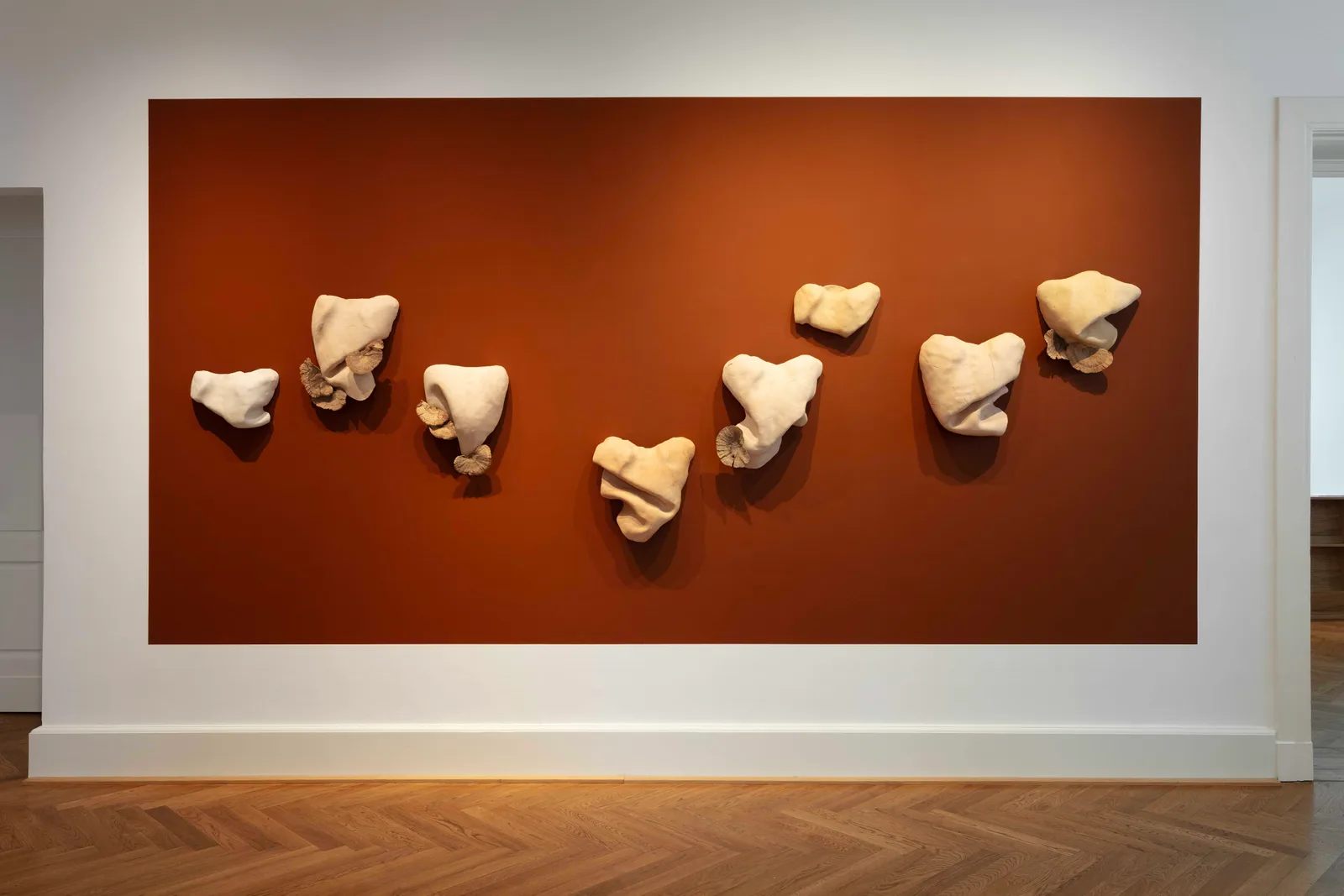 Studies for potential metamorphoses XXVI