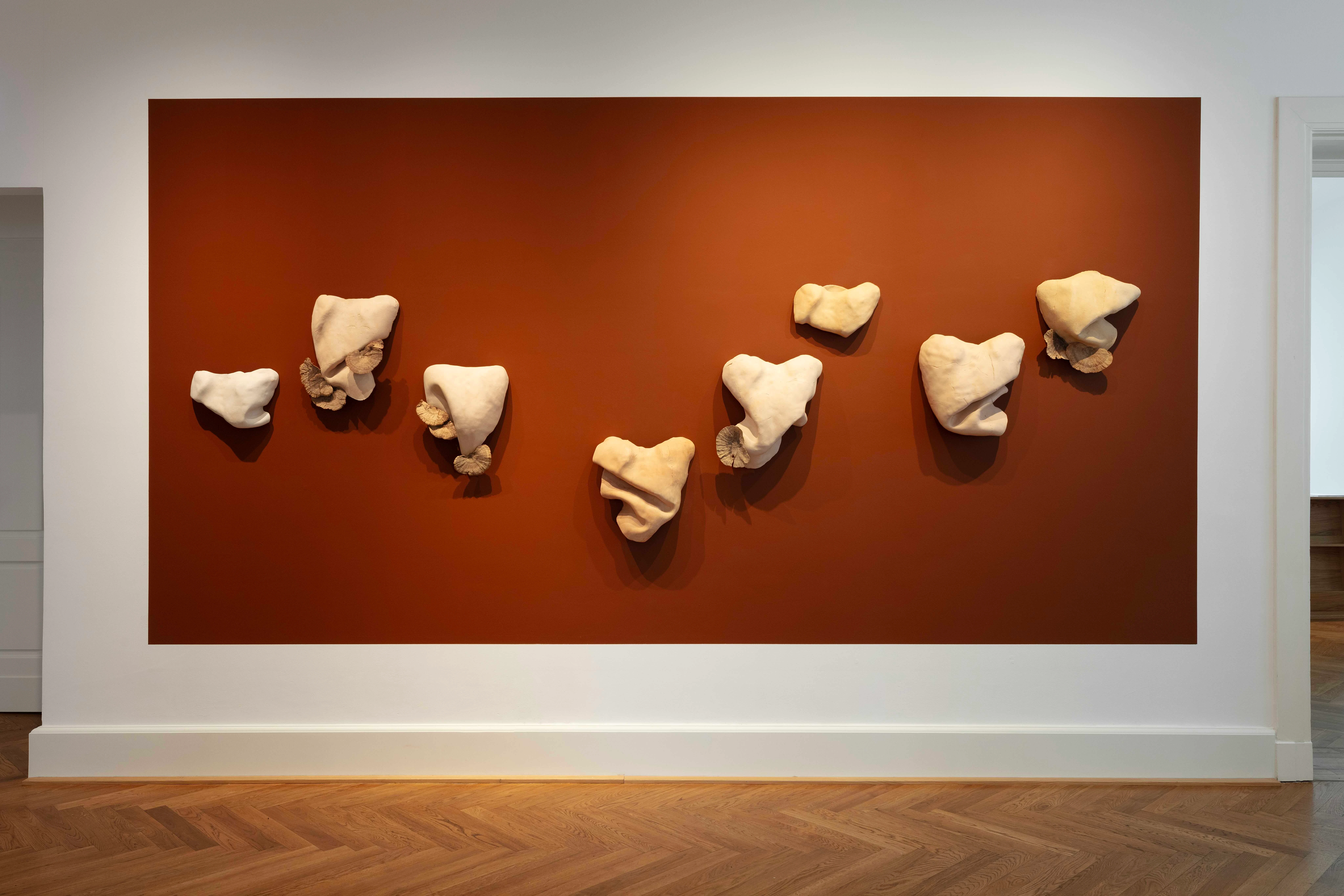 Studies for potential metamorphoses XXVI