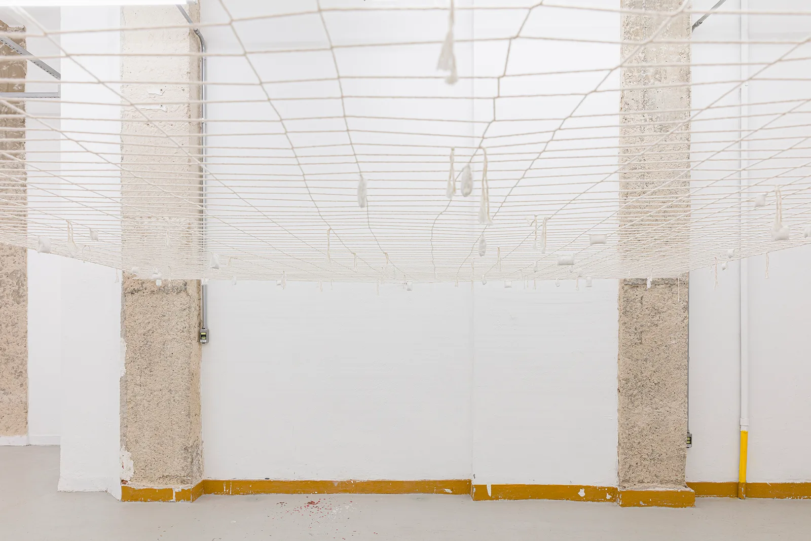 Untitled, from the Salt America series