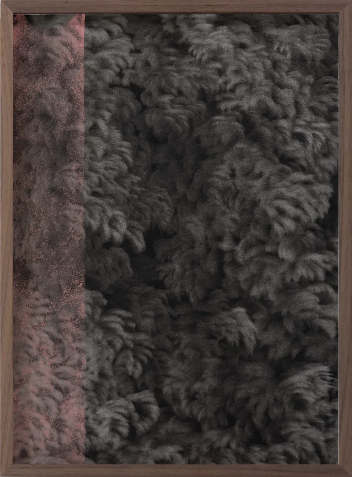 Giulia Dall'Olio g 19283 d Studio G7