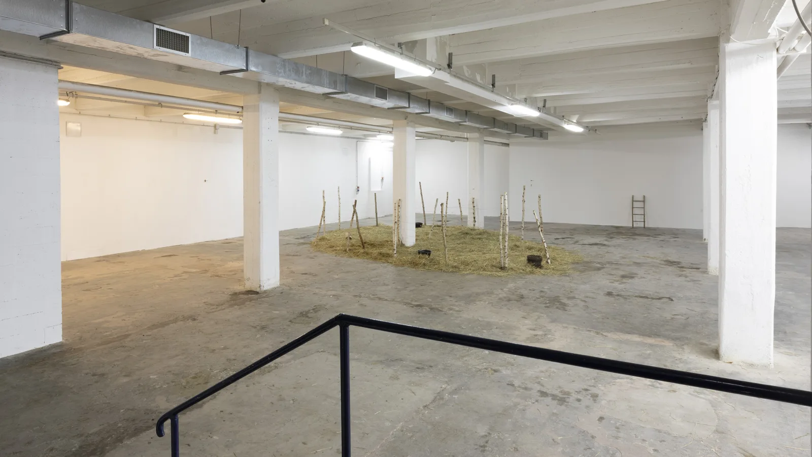 Alex Ayed Untitled (fence) Zero...