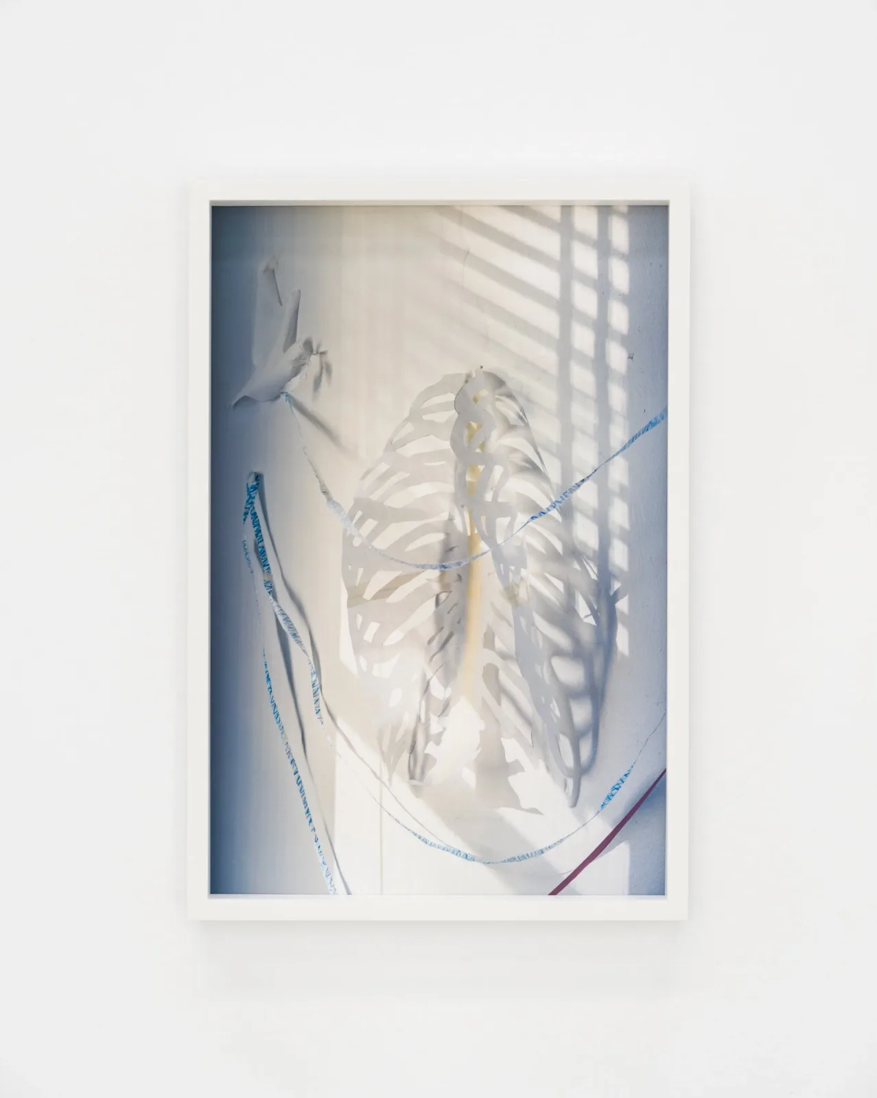 David Gilbert Heavenly Body Chris Sharp