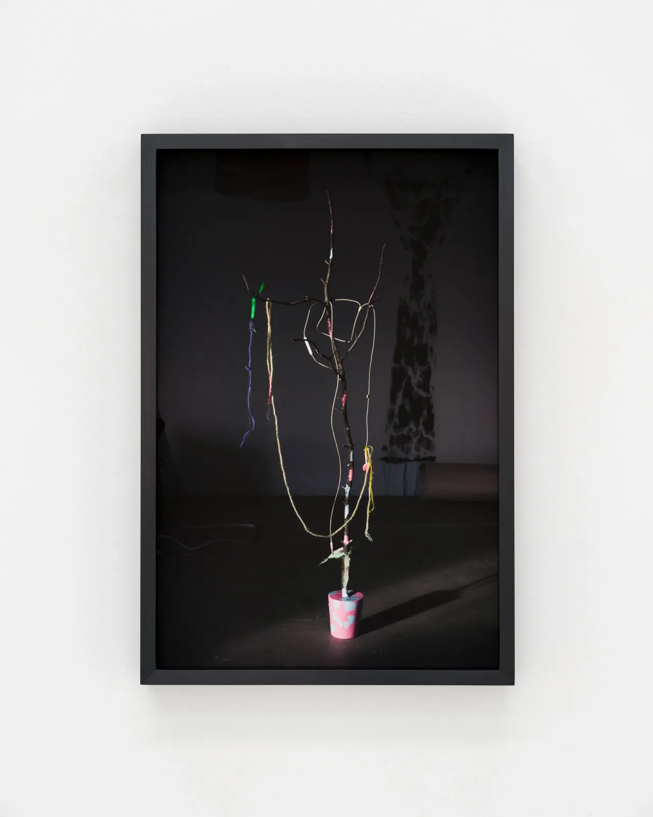 David Gilbert Dark Tree Chris Sharp