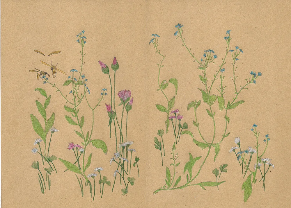 Robert Gabris Sketch from my Herbarium 1 Gregor Podnar