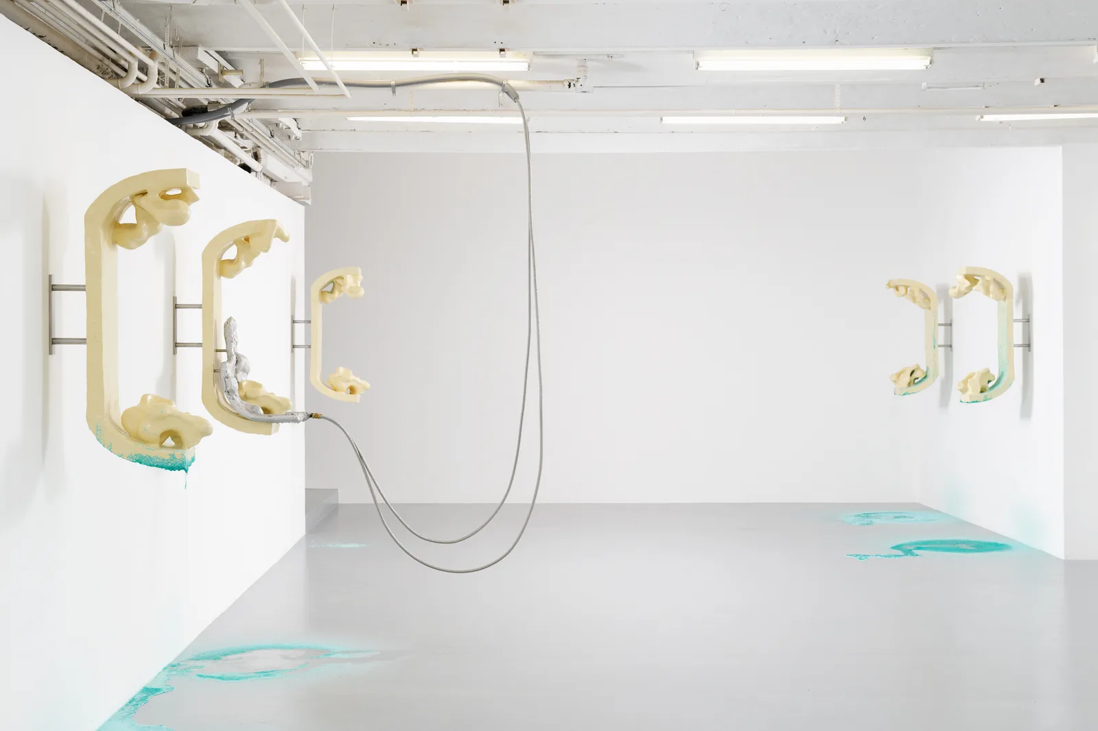 Isabelle Andriessen Cryo-rite Berthold Pott