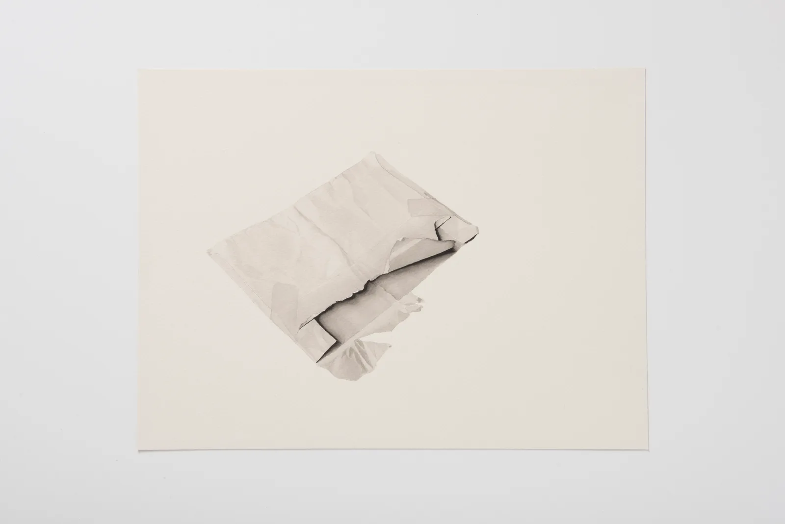 Frances Richardson Still thinking: a fraction more than a desire III Tom Rowland