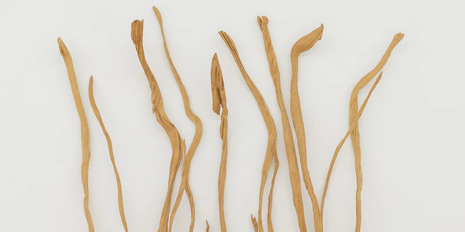 Alberto Carneiro Evocação d'água 3 3+1 Arte Contemporânea