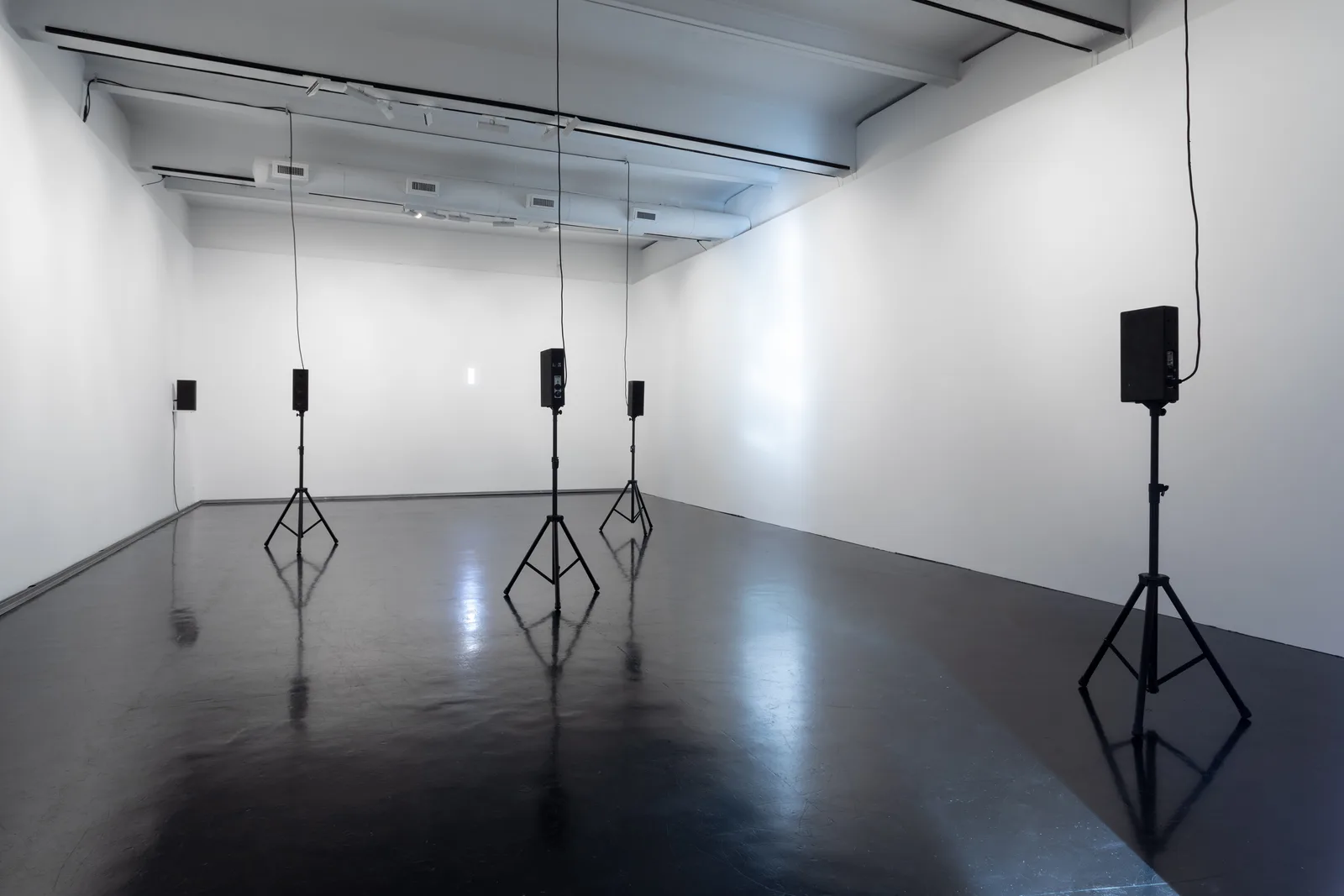 Lenard Giller action at a distance Petrine