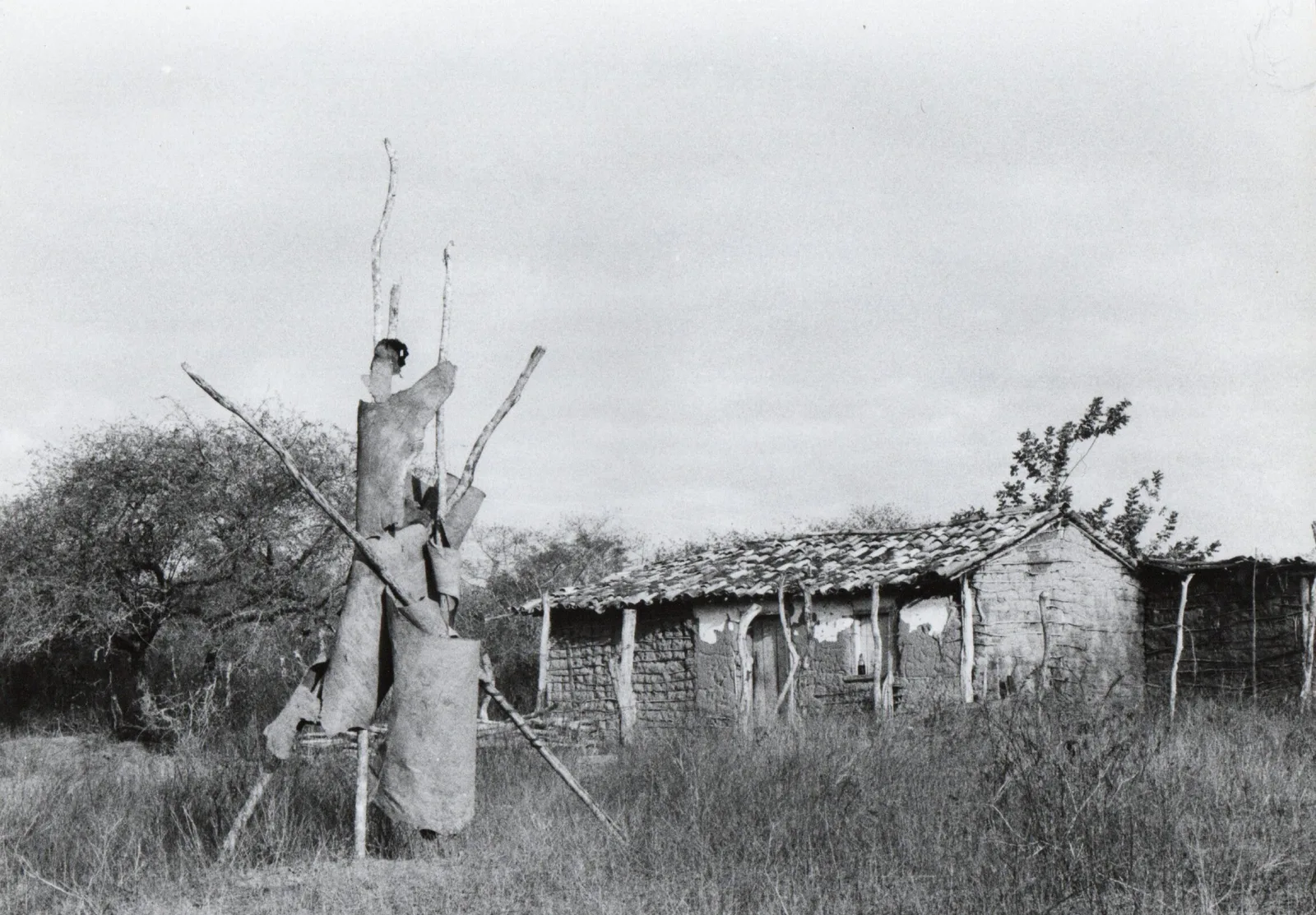 Juraci Dórea Projeto Terra: Escultura na Casa de Claudinho (São Gonçalo dos Campos - BA) Martins&Montero
