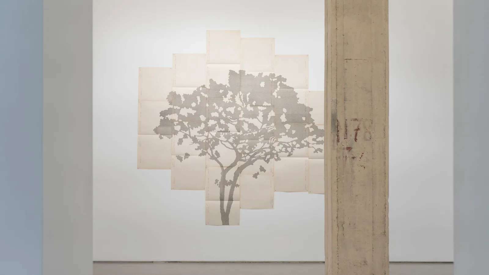 Johanna Calle Perimetros (Jacarandá) Galeria MPA