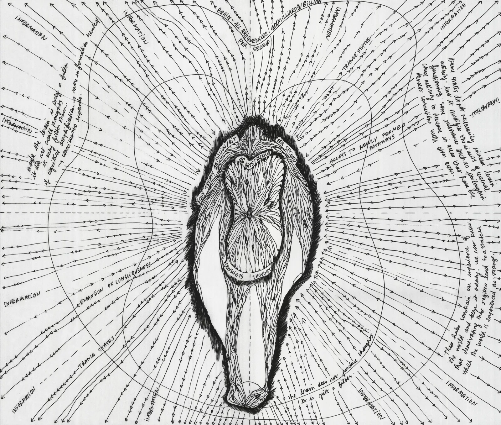 The Origin of Humankind II
