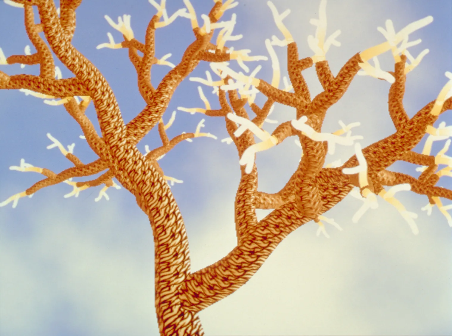 3.Rebecca Allen Creation Myth Arcade 1