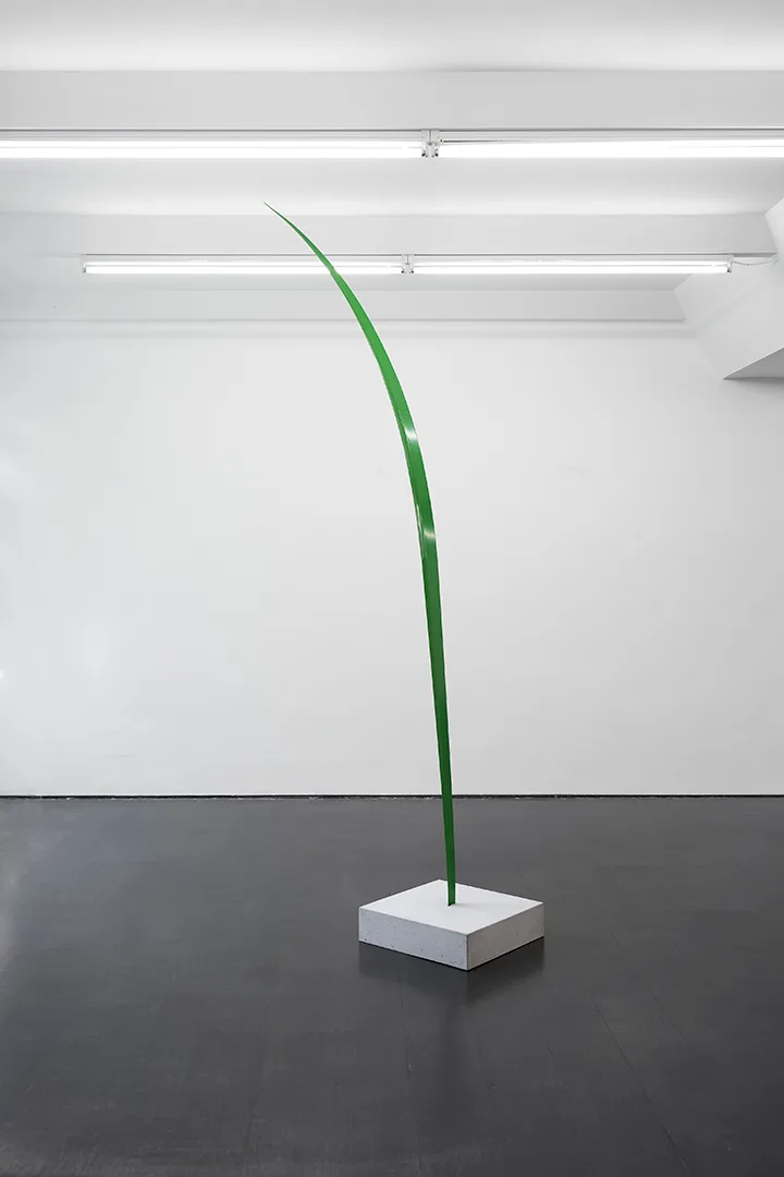 1.Judith Hopf Untitled (Grashalm) Schamoni